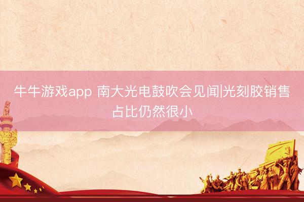 牛牛游戏app 南大光电鼓吹会见闻|光刻胶销售占比仍然很小