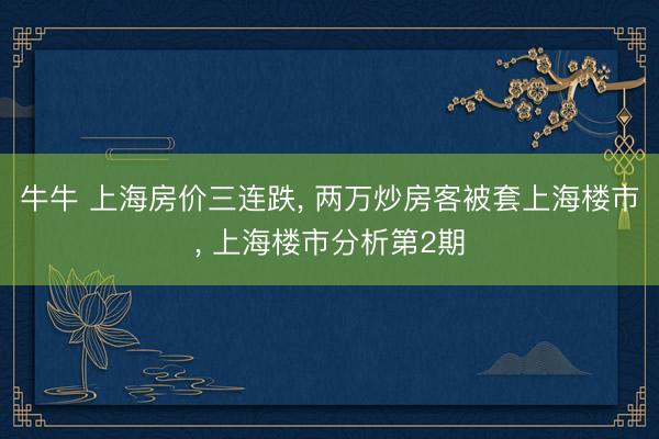 牛牛 上海房价三连跌， 两万炒房客被套上海楼市， 上海楼市分析第2期