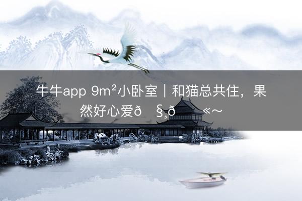 牛牛app 9m²小卧室｜和猫总共住，<a href=