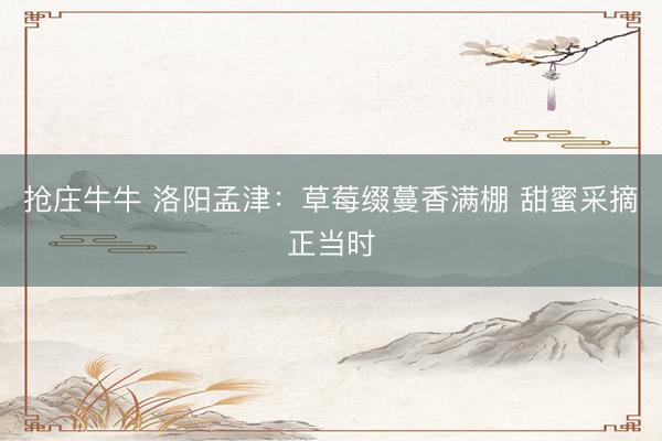 抢庄牛牛 洛阳孟津：草莓缀蔓香满棚 甜蜜采摘正当时