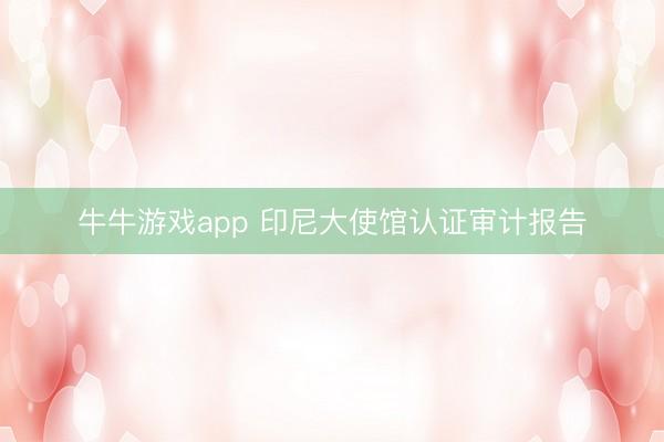 牛牛游戏app 印尼大使馆认证审计报告