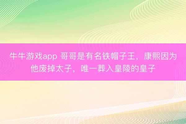 牛牛游戏app 哥哥是有名铁帽子王，康熙因为他废掉太子，唯一葬入皇陵的皇子