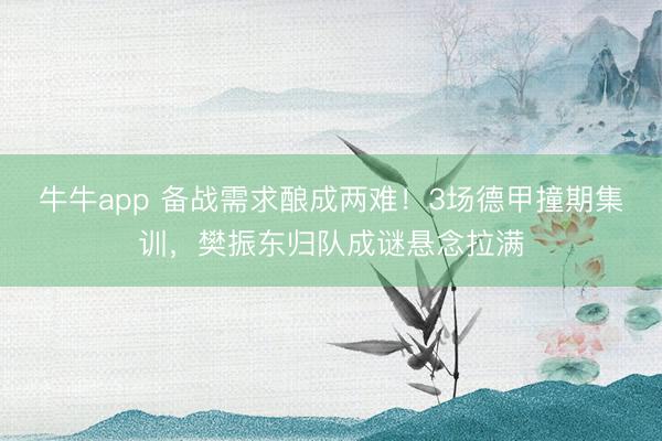 牛牛app 备战需求酿成两难！3场德甲撞期集训，樊振东归队成谜悬念拉满