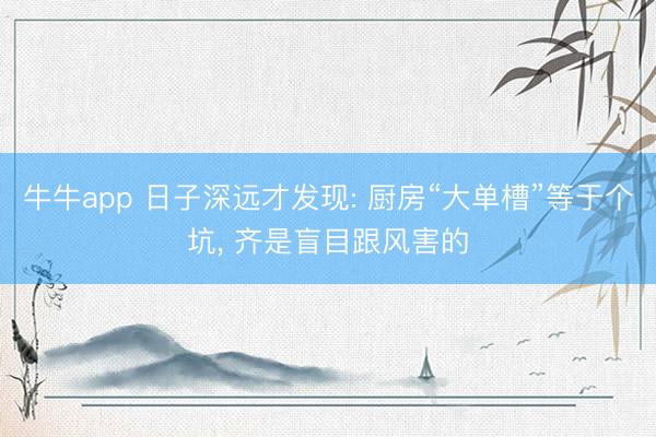 牛牛app 日子深远才发现: 厨房“大单槽”等于个坑， 齐是盲目跟风害的