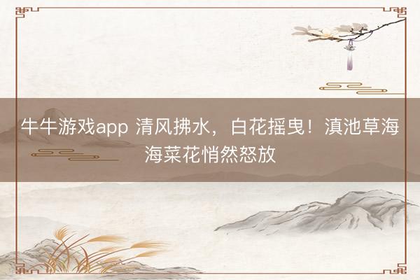 牛牛游戏app 清风拂水,白花摇曳!滇池草海海菜花悄然怒放