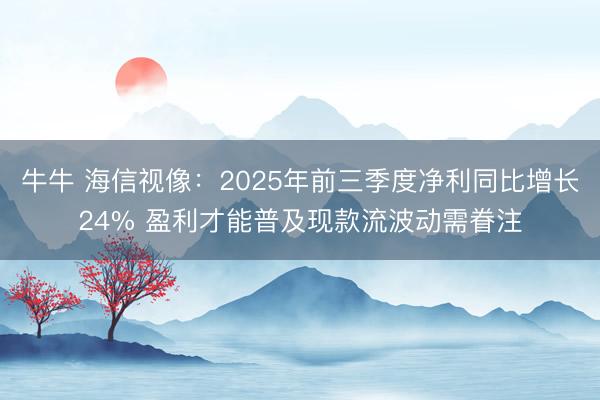 牛牛 海信视像：2025年前三季度净利同比增长24% 盈利才能普及现款流波动需眷注