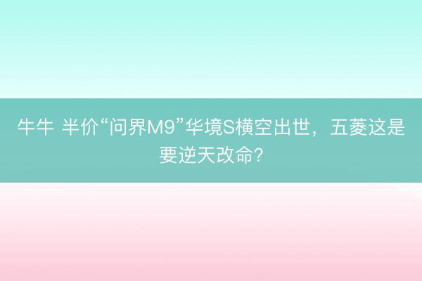 牛牛 半价“问界M9”华境S横空出世，五菱这是要逆天改命？