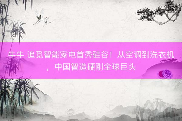 牛牛 追觅智能家电首秀硅谷！从空调到洗衣机，中国智造硬刚全球巨头
