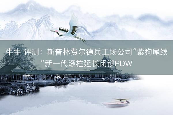 牛牛 评测：斯普林费尔德兵工场公司“紫狗尾续”新一代滚柱延长闭锁PDW
