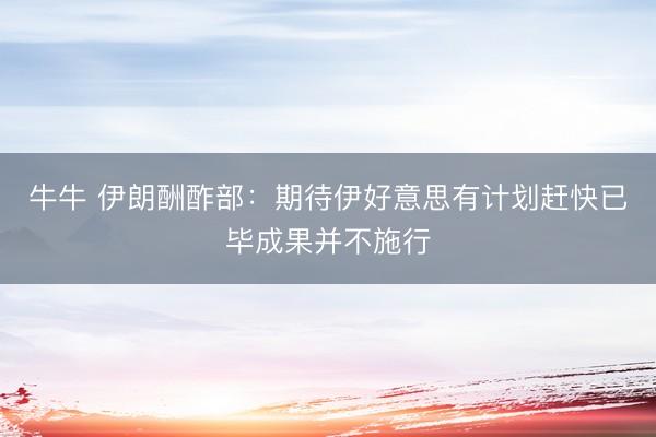 牛牛 伊朗酬酢部：期待伊好意思有计划赶快已毕成果并不施行