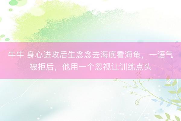 牛牛 身心进攻后生念念去海底看海龟，一语气被拒后，他用一个忽视让训练点头