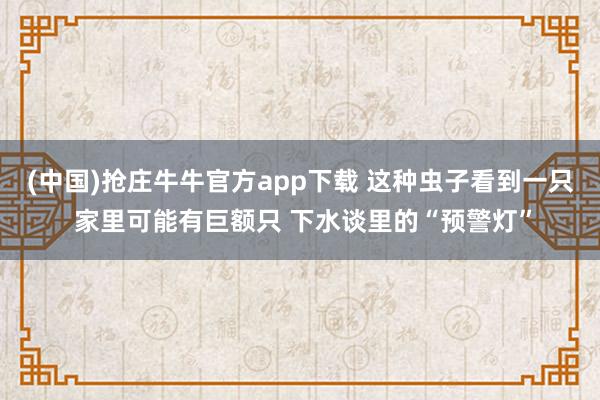 (中国)抢庄牛牛官方app下载 这种虫子看到一只 家里可能有巨额只 下水谈里的“预警灯”
