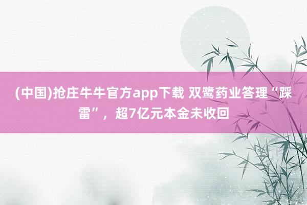 (中国)抢庄牛牛官方app下载 双鹭药业答理“踩雷”，超7亿元本金未收回
