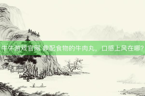牛牛游戏官网 鼎配食物的牛肉丸，口感上风在哪？