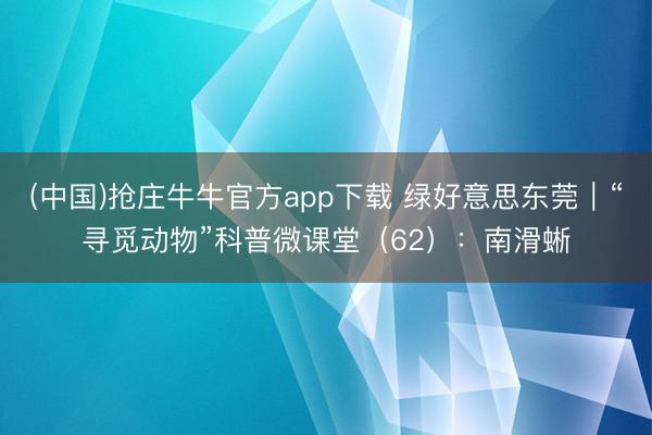 (中国)抢庄牛牛官方app下载 绿好意思东莞｜“寻觅动物”科普微课堂（62）：南滑蜥