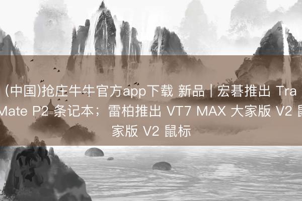 (中国)抢庄牛牛官方app下载 新品 | 宏碁推出 TravelMate P2 条记本；雷柏推出 VT7 MAX 大家版 V2 鼠标